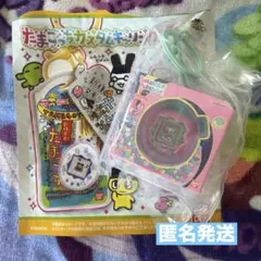 たまごっち カスタムキーリング2 Pink Land ピンクのサムネイル
