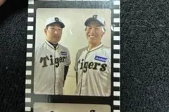 hal様 リクエスト 5点 まとめ商品