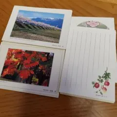 未使用ポストカード 30枚セット