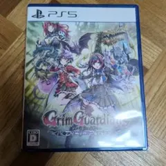 グリム　ガーディアンズ　デモンズパージ　Grim Guardians PS5