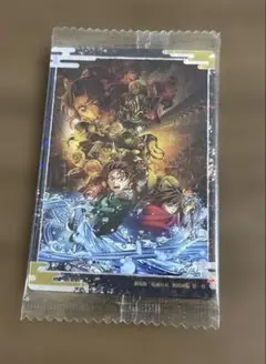 鬼滅の刃 ウエハース10 ビジュアルカード レア