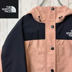 【激レア】ノースフェイス　マウンテンパーカー　ゴアテックス　レアカラー　刺繍