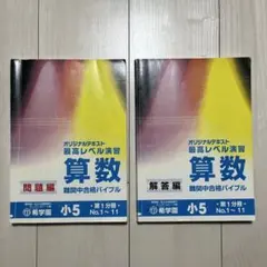 Item thumbnail for item 4adb340b-626e-4743-9f37-a7af56703667