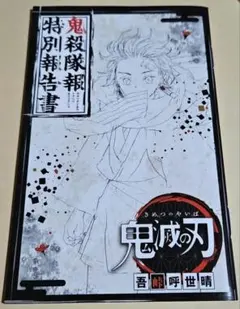 レア♥鬼滅の刃♥️鬼殺隊報特別報告書