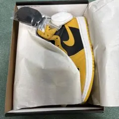Nike Air Jordan 1 High OG 