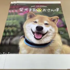 NK-35　柴犬まるとおさんぽカレンダー カレンダー3部　まとめ売りのサムネイル