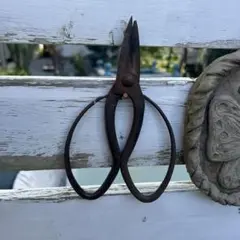 2025年最新】ジャンクガーデン サビの人気アイテム - メルカリ