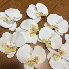 인공 꽃 호접란
