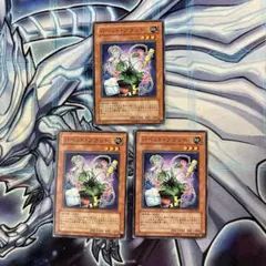 遊戯王　パペットプラント　ノーマル 3枚