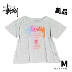 Stussyステューシー ワールドツアー Tシャツ レインボー グレー