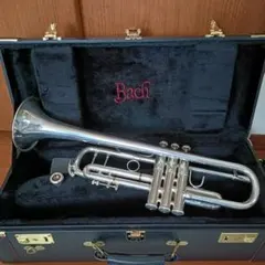 2026年最新】トランペット bach 180mlの人気アイテム - メルカリ