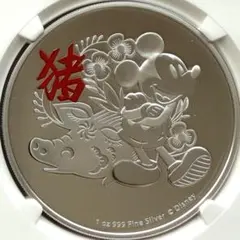 2026年最新】ニウエ 金貨 ディズニーの人気アイテム - メルカリ