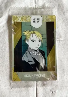 2026年最新】リザホークアイの人気アイテム - メルカリ