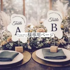 haru様専用ページ