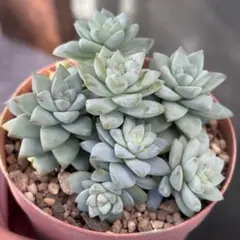 み。様 リクエスト 2点 まとめ商品