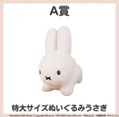 ブルーナアニマルくじ　A賞　特大サイズぬいぐるみみうさぎ