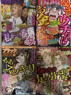 レディースコミック4冊セット　家庭ミステリー他