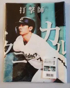 日本ハムファイターズ 選手応援歌グッズ フェイスタオル 清宮幸太郎
