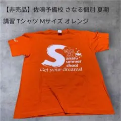 Item thumbnail for item c5105ee9-6a51-4b60-9ec1-3e6ed689c052