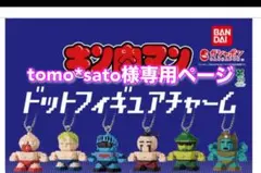 tomo*sato様専用ページです