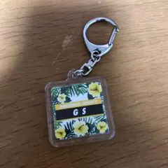 DOBERMAN INFINITY GS