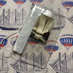 Item thumbnail for item 5330362c-ce6a-4515-9ff7-46736346d723