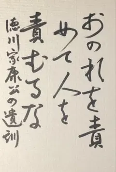 山口真由さん 直筆サイン 色紙 - メルカリ
