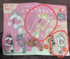 しっぽふりふり にゃんこカラビナC-pla限定 しゃむ ごーるど 2個セット
