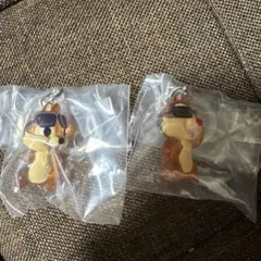 めじるしアクセサリー　ディズニー　Summer　チップ　デール　セット