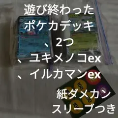 #185ポケカ構築済みデッキ.イルカマンexユキメノコex/スリーブ．紙ダメカン