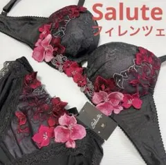 ワコール　サルート   世界遺産　ブラ、ショーツ セット 2026年最新】サルート世界遺産の人気アイテム - メルカリ