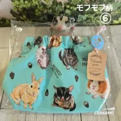 Item thumbnail for item cf14ff48-89b8-4f97-8203-1945e77d7b18