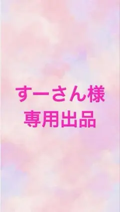すーさん様専用出品‼️‼️他の方のご購入は、ご遠慮ください‼️‼️