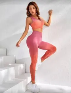グラデーション フィットネス 上下セット レディース ヨガ レギンス ピンク