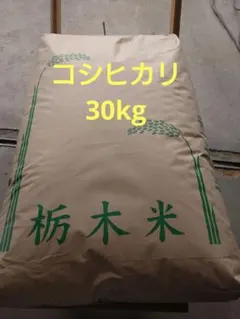 栃木県産　令和7年　なすひかり 栃木県産 令和7年 なすひかり - メルカリ