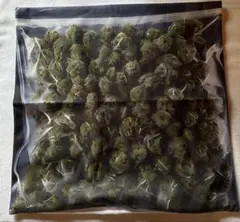 Item thumbnail for item 5ef2cc3a-b07c-4e3e-ae00-c87437c7055b