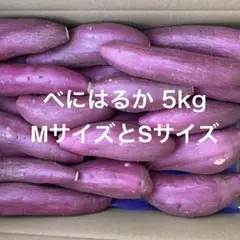 熟成べにはるかMサイズとSサイズ5kg千葉県産さつまいも