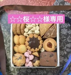 ☆☆桜☆☆様専用ページです☆