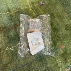 美少年 Gate+ ペンライト