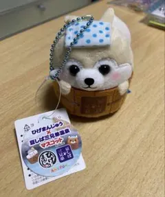 Item thumbnail for item 4a816ccc-248b-4833-b2b7-c2ccbdc9498b