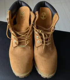 Item thumbnail for item 8221f290-a184-464e-93a4-7bbb9c23bebc