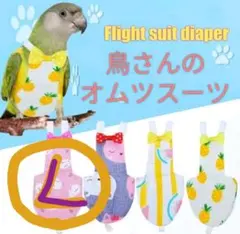 Item thumbnail for item a2efea51-22eb-4259-a25b-1d555133efb3