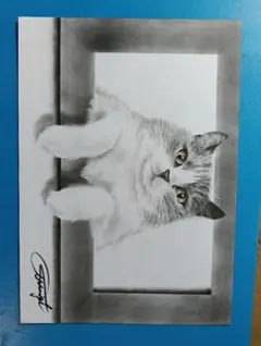 写実鉛筆画 猫A3ケント - メルカリ