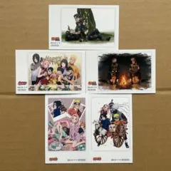 NARUTO 縁 アニメイト特典 インスタントフォト風ブロマイド　5種セット