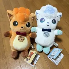 ミジュマル ガーディ ポケモン ローカルActs 物産展オリジナル