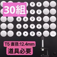 Item thumbnail for item 6882be65-824e-4035-9712-09ac66ee4d7a