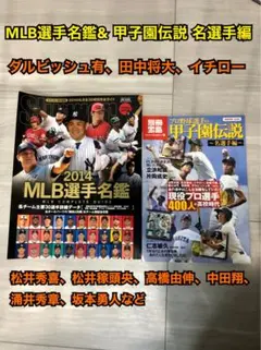 Item thumbnail for item 71fbdded-5a83-4f96-ad3d-7e9c0057380a