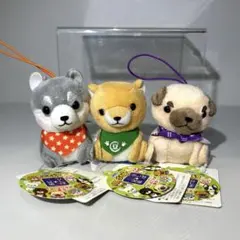 Item thumbnail for item c271978d-e1eb-4dd5-b1d3-49cc78f37651