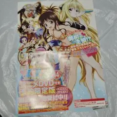 To LOVEる -とらぶる- 結城美柑 添い寝ポスター 当選品 - メルカリ