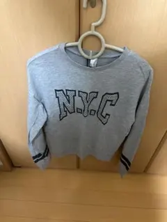 Item thumbnail for item 43b293cb-3b2b-4fff-93c9-13e0d755aea1